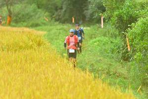 BIB: 
                            <button type="button" onclick="openModal(13456376)" class="btn btn-primary btn-sm float-right btn-popup" data-toggle="modal" data-target=".modal-high-quality">
                        <i class="fas fa-shopping-cart"></i> Add to Cart
                    </button>
                                            <button type="button" onclick="isThisMe(13456376, true)" class="btn btn-success btn-sm float-right btn-popup btn-isme hidden" data-toggle="tooltip" data-placement="bottom" title="นี่คือรูปของคุณใช่ไหม คลิกที่นี่เพื่อเอาเข้าอัลบั้ม">
                        <i class="fas fa-plus"></i> Add to album
                    </button>
                    <button type="button" onclick="isThisMe(13456376, false)" class="btn btn-warning btn-sm float-right btn-popup btn-isnotme hidden">
                        <i class="fas fa-ban"></i> Remove from album
                    </button>